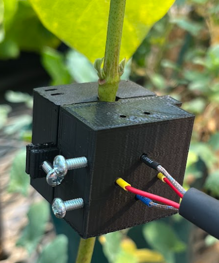 Sap flux sensor affixed to plant stem.